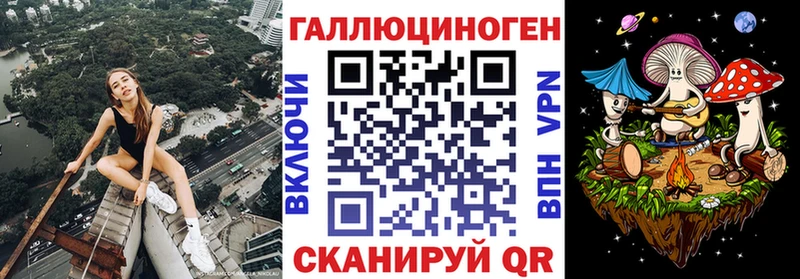 Псилоцибиновые грибы Psilocybe  где купить наркотик  мега как зайти  Красноярск 